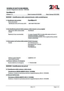 2XL331EU GymWipes+® EU SDS Sheet (Italian)