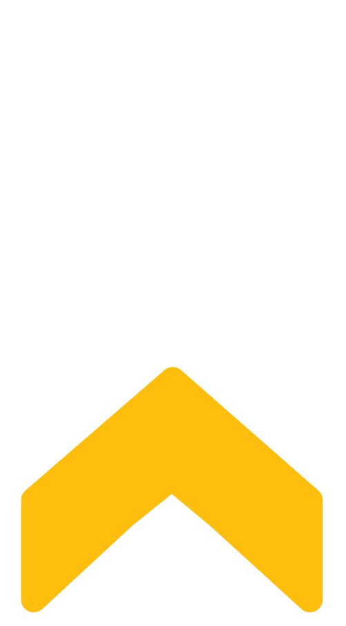 strong Two yellow arrows pointing up.
