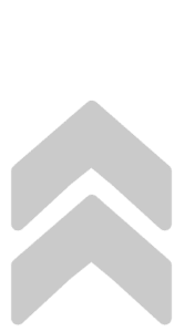 Two gray arrows pointing up